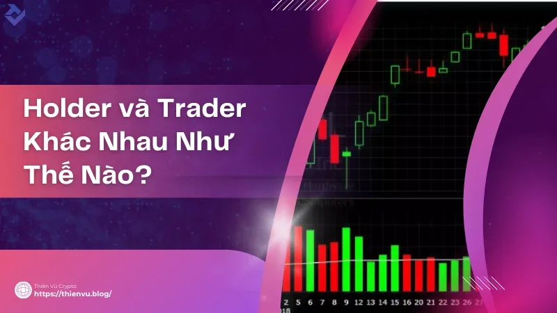 holder và trader khác nhau như thế nào