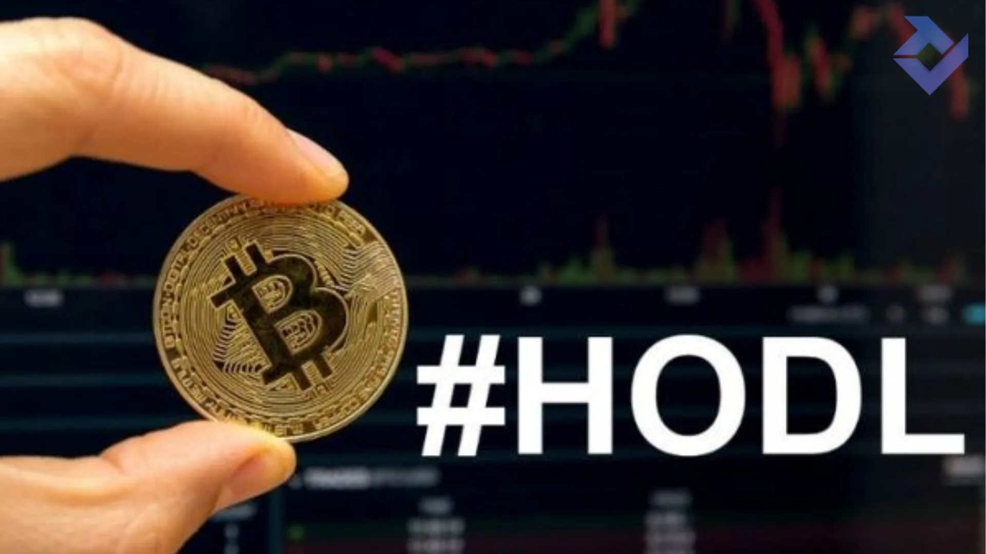 thuật ngữ HODL là gì