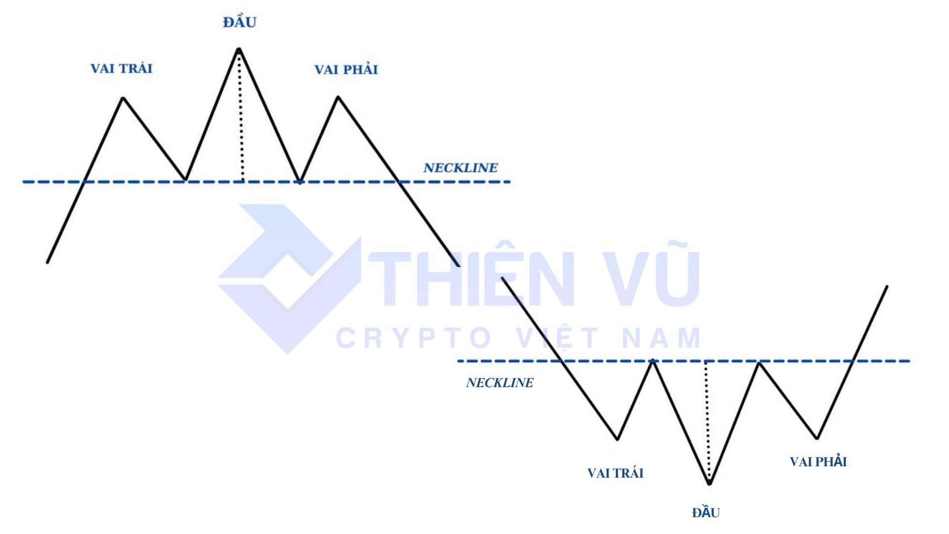 Mô hình Vai Đầu Vai