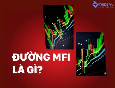 Đường MFI là gì