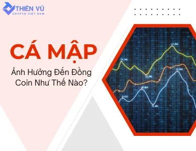 cá mập ảnh hưởng đến đồng coin