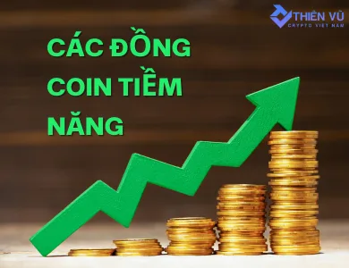 các đồng coin tiềm năng