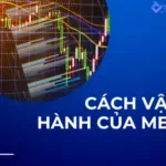 cách vận hành của MEV